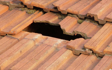 roof repair Siddington